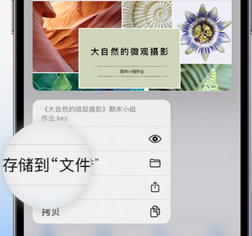 黟县apple维修中心分享iPhone文件应用中存储和找到下载文件