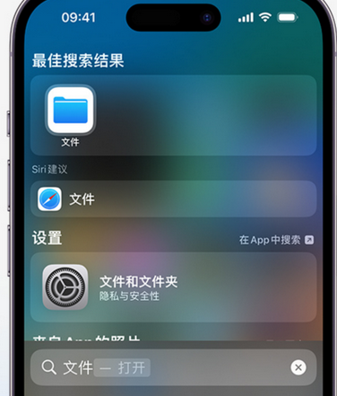 黟县apple维修中心分享iPhone文件应用中存储和找到下载文件 