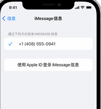 黟县apple维修iPhone上无法正常发送iMessage信息 