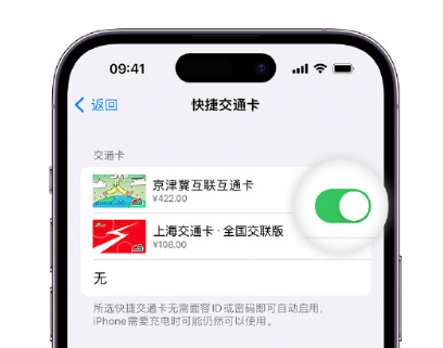 黟县apple维修点分享iPhone上更换Apple Pay快捷交通卡手绘卡面 