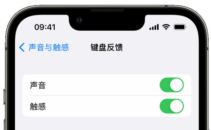 黟县苹果手机维修分享iPhone 14触感键盘使用方法 