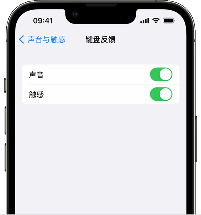 黟县苹果14维修店分享如何在 iPhone 14 机型中使用触感键盘 