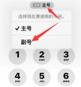 黟县苹果14维修店分享iPhone 14 Pro Max使用副卡打电话的方法 