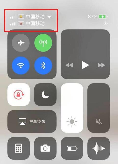 黟县苹果手机维修分享为 iPhone 12 双卡设置标签 